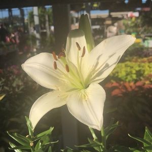 Meet your Posher, Michaela